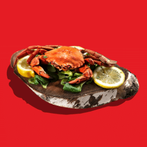Seafood"